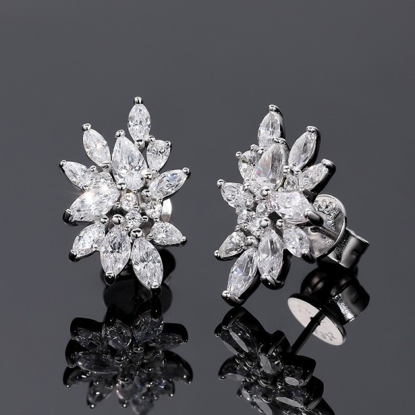 925 Sterling Silver Earring Zircon Ice Crystal Earrings