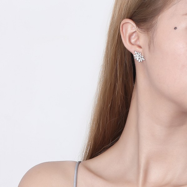 925 Sterling Silver Earring Zircon Ice Crystal Earrings